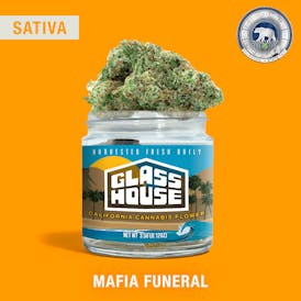 Mafia Funeral [3.5g Jar]