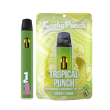 1G Kushy Punch Vape All-In-One- Tropical Punch