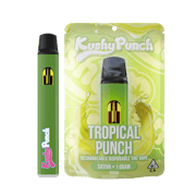 1G Kushy Punch Vape All-In-One- Tropical Punch