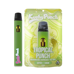 KUSHY PUNCH - 1G Kushy Punch Vape All-In-One- Tropical Punch