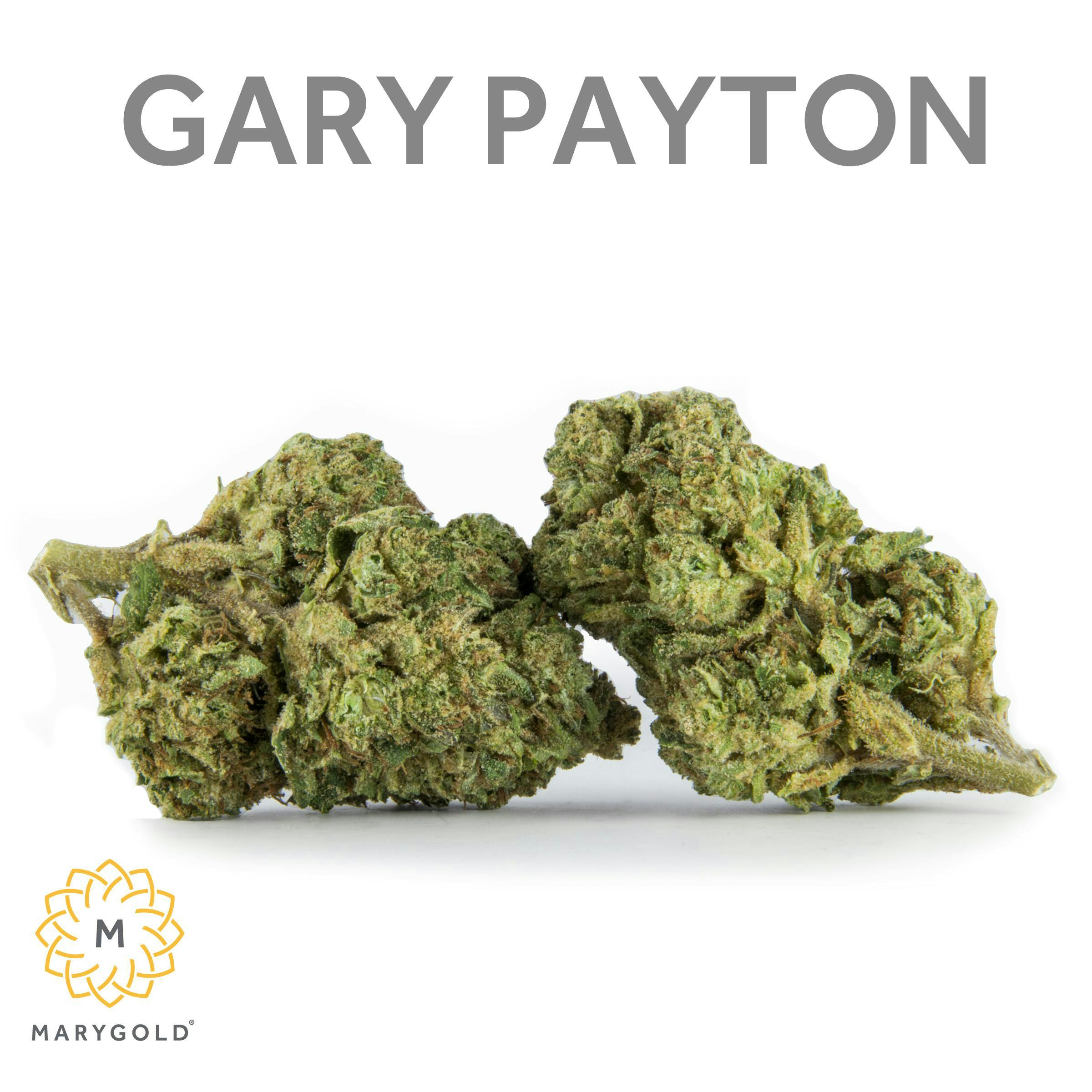 Gary Payton Big Buds