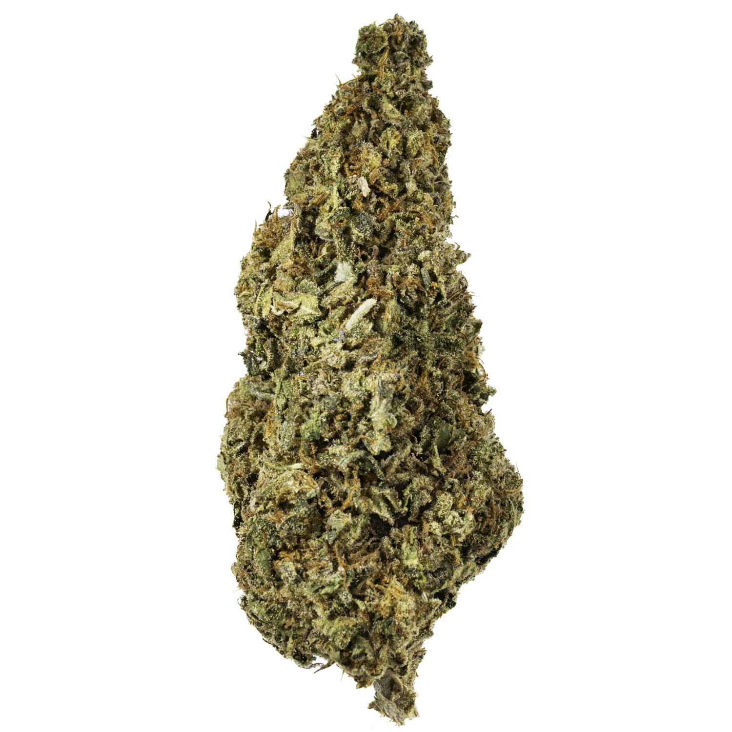 West Coast Cure: Gummy Buns - 14G Premium Flower