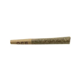 0.5g Runtz Pre Roll