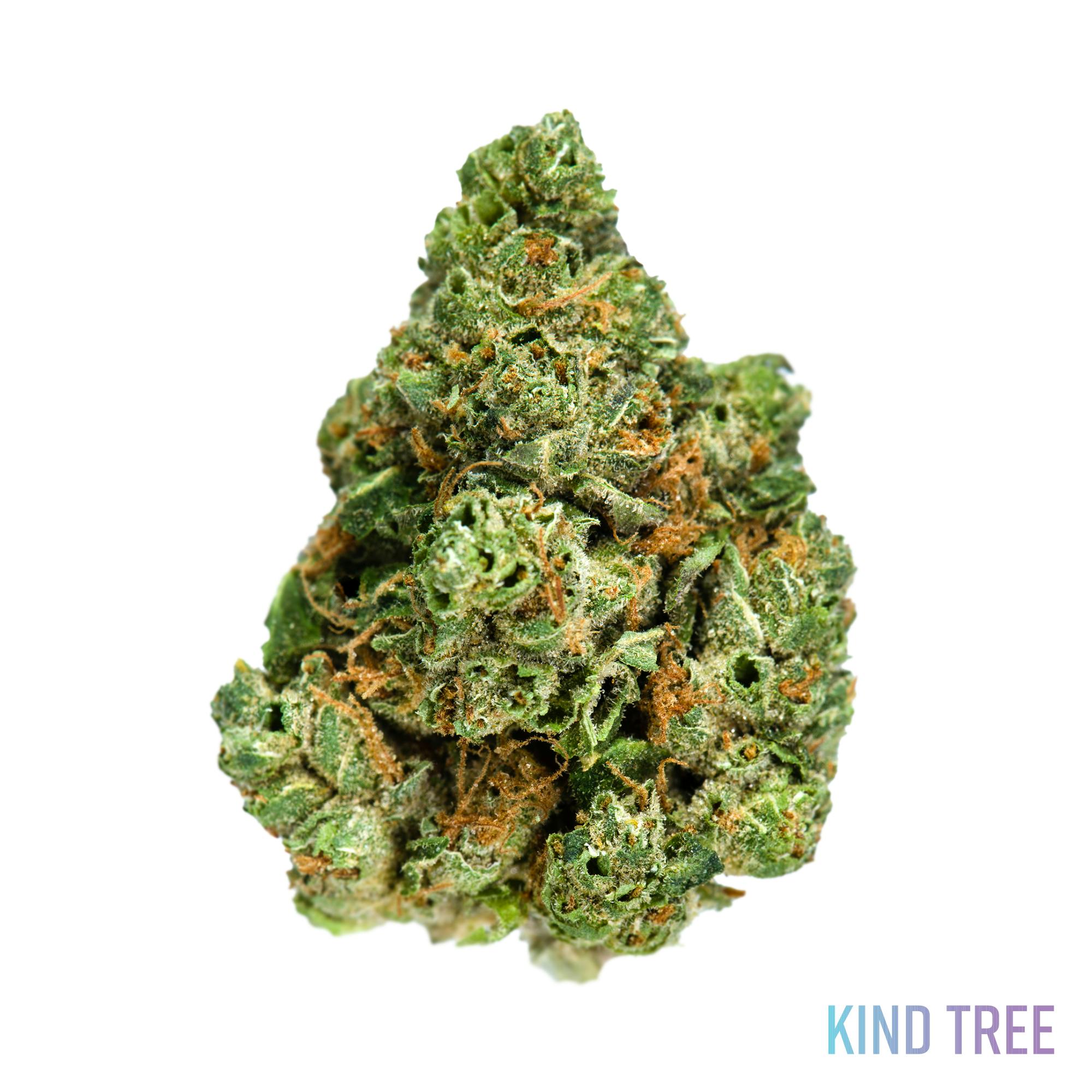 Kind Tree Alpine OG Weedmaps