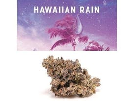 Cookies - 3.5G - Hawaiian Rain