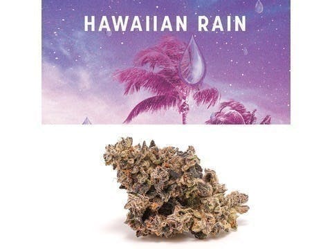 Hawaiian Rain Buds