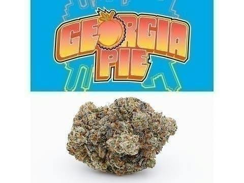 Georgia Pie Buds