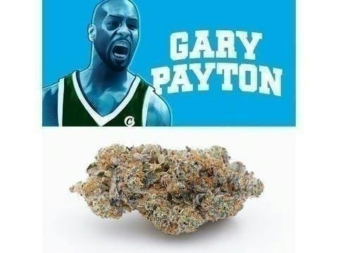 Gary Payton | Buds | 7g