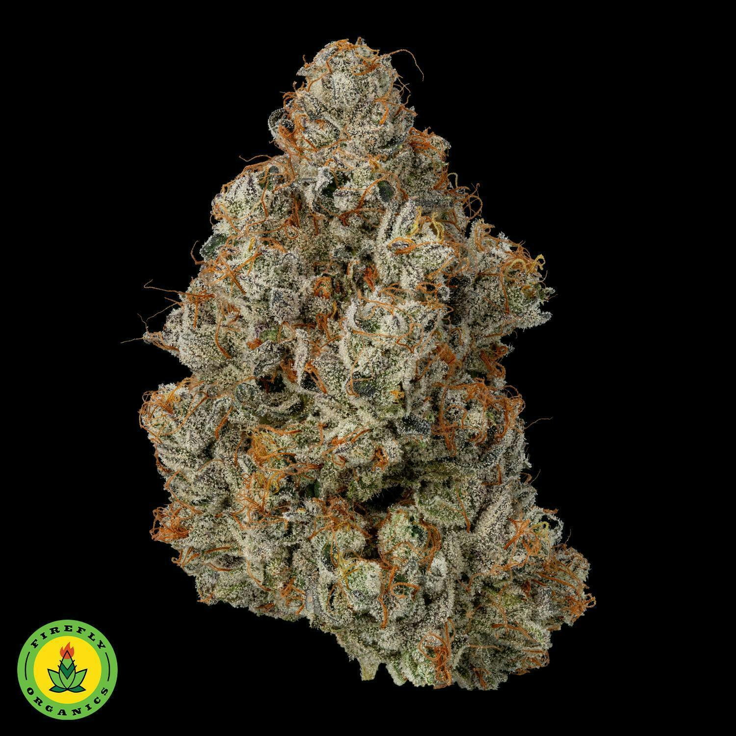 Firefly Organics | Secret Cookies | Big Buds | 3.5g by Firefly Organics