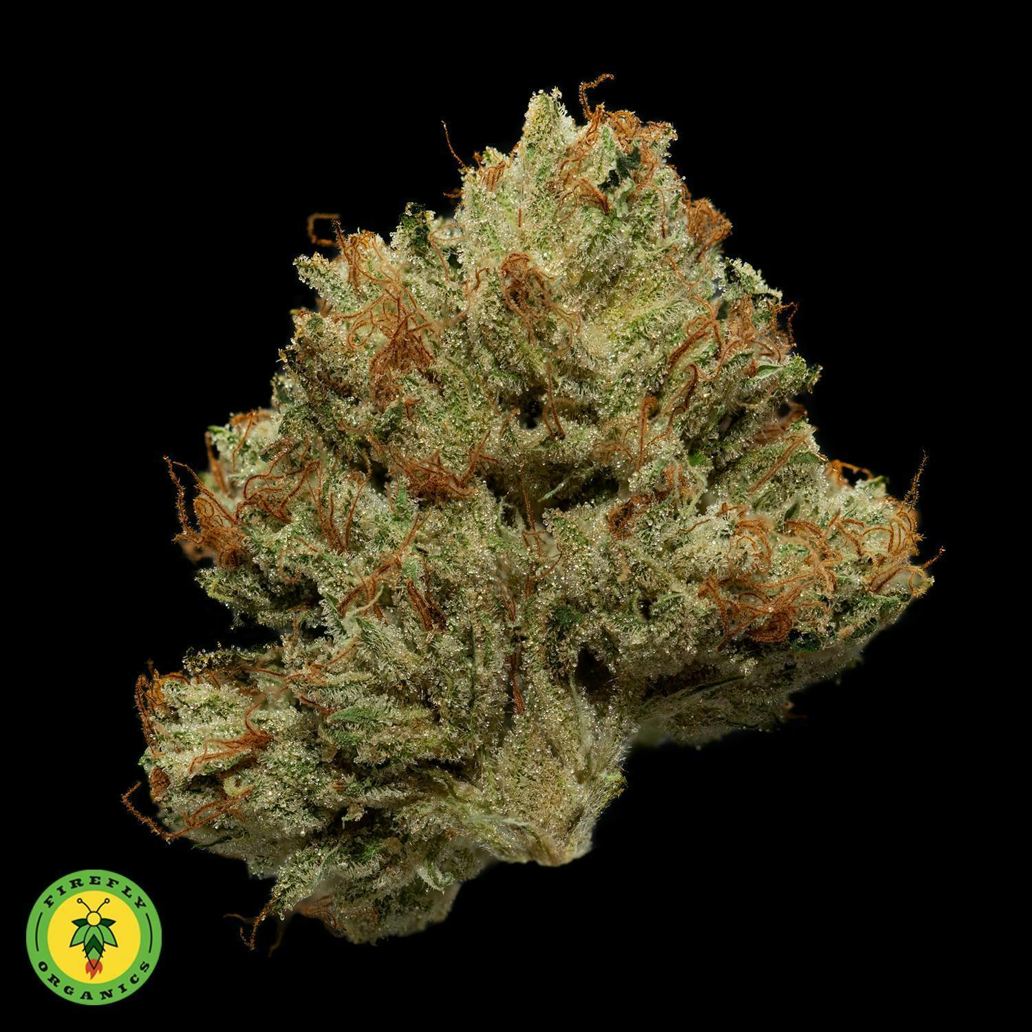 Firefly Organics | Motorbreath #15 | Big Buds | 3.5g