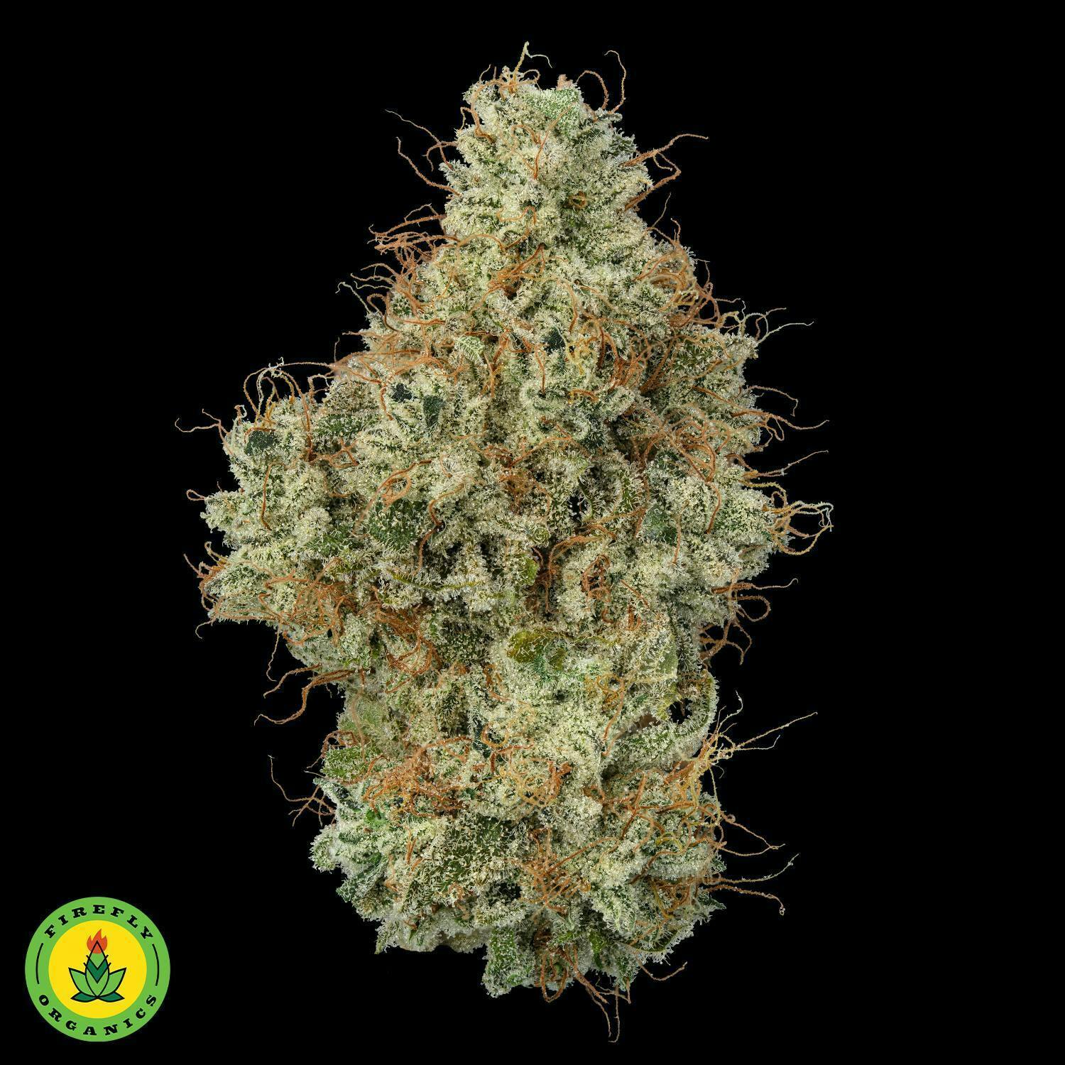 Firefly Organics | Albariño | Big Buds | 3.5g