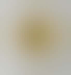 Concentrate - Tier 3 - 70-120u Hash Rosin - Gummy Buns #6