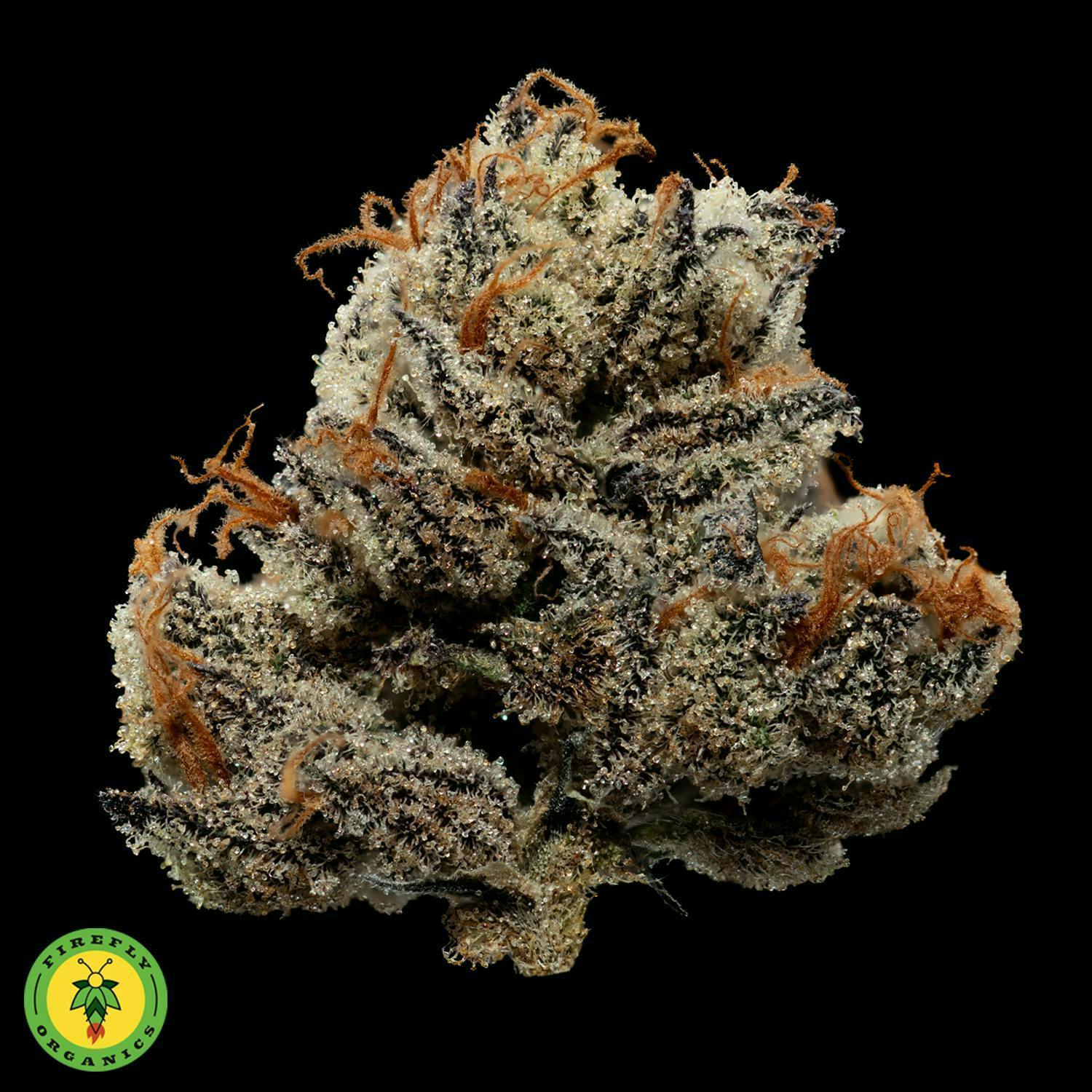 Firefly Organics | Grape Gas | Big Buds | 3.5g by Firefly Organics