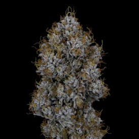 Kosher Kush
