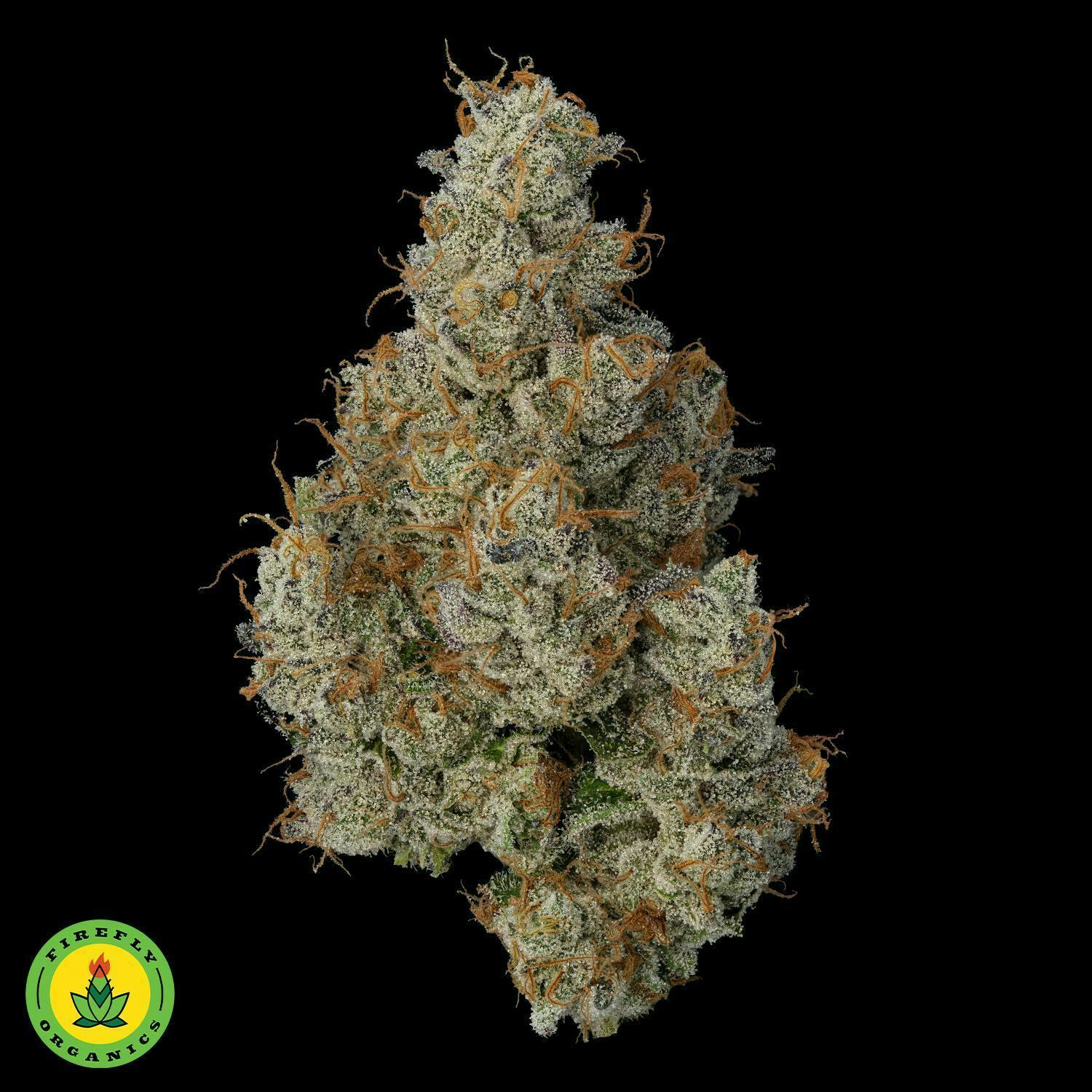 Fiirefly Organics | Wedding Pie | Big Buds | 3.5g by Firefly Organics