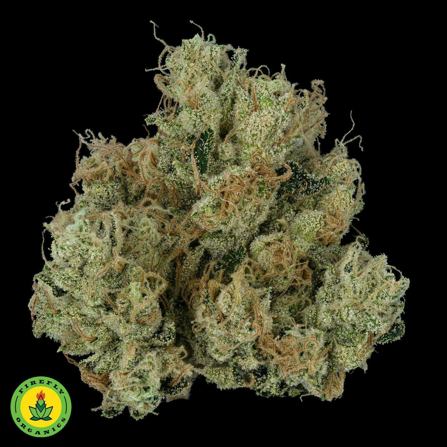 Firefly Organics | TKO | Big Buds | 3.5g by Firefly Organics