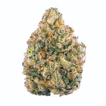 Tropicana Banana | 3.5g Flower