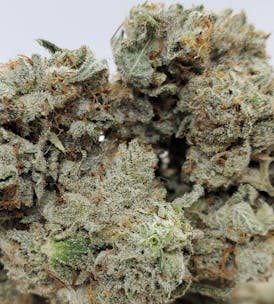 Super Glue OG 14g