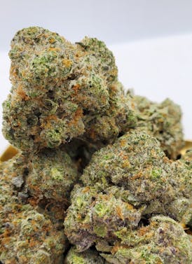 Gushers 14g