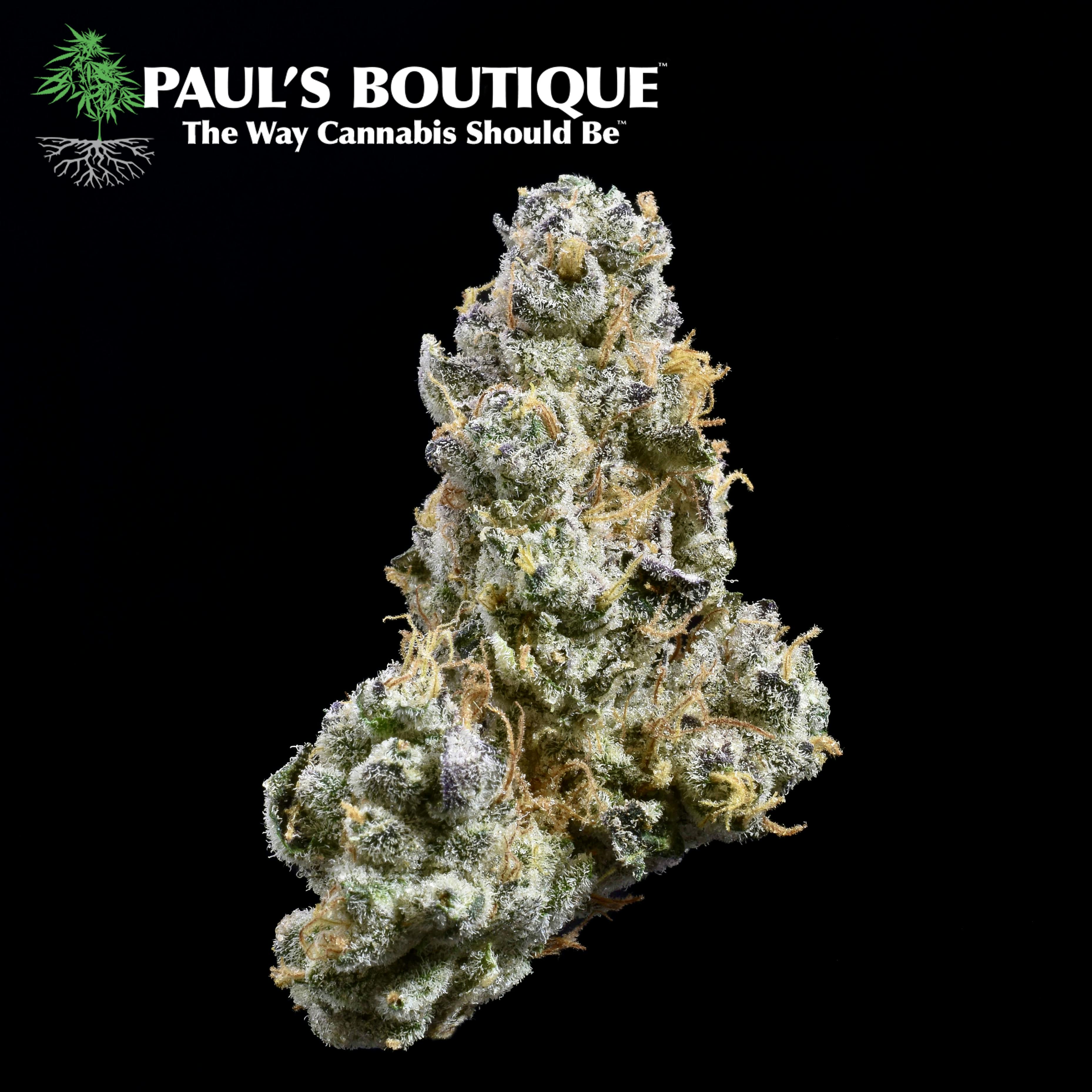Garlic Cookies Paul's Boutique