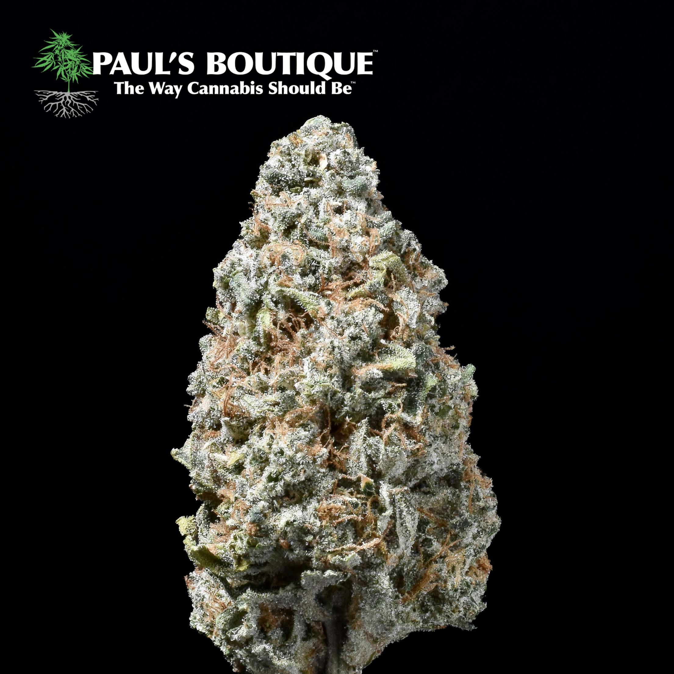 Lotus Blossom by Paul's Boutique