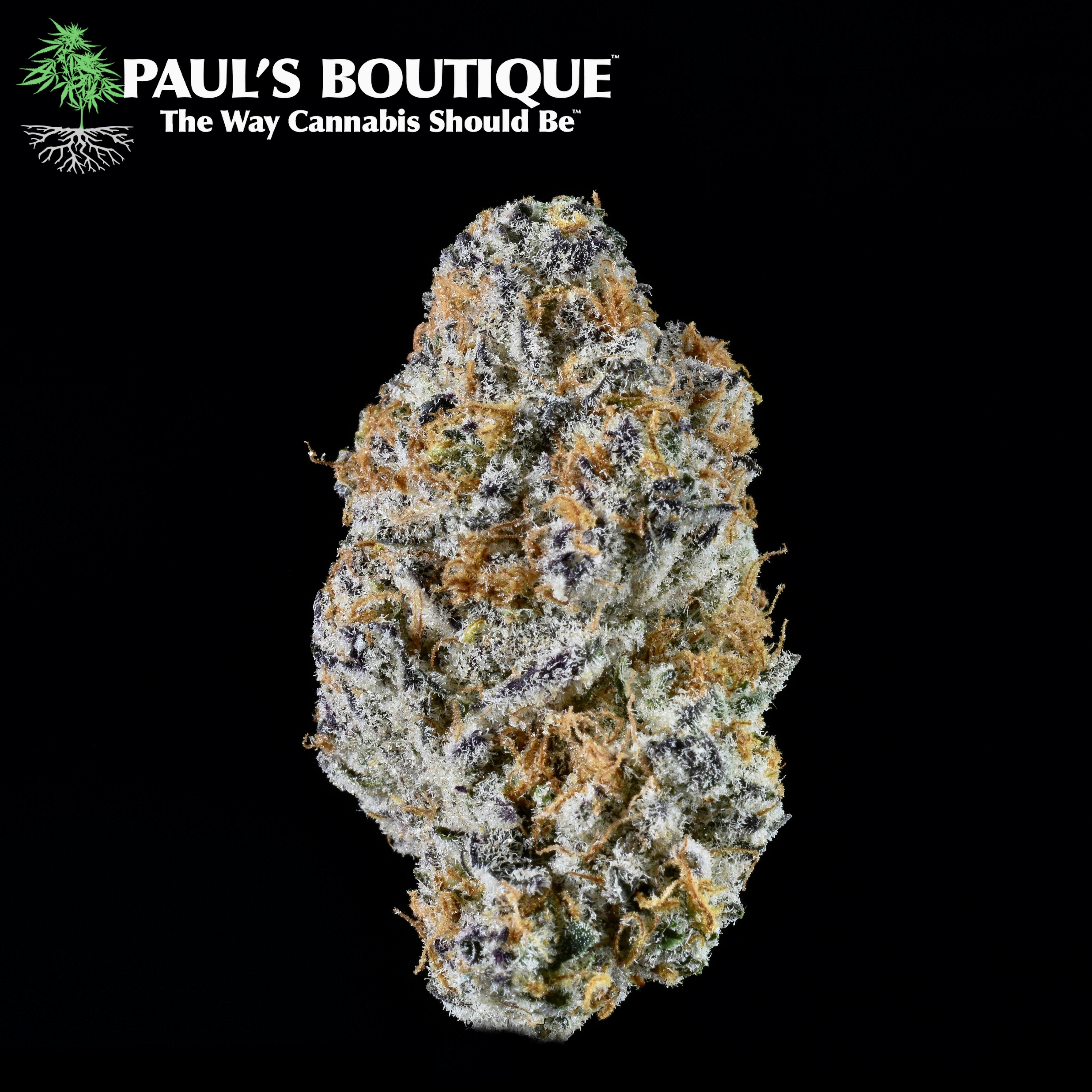 Paul's Boutique Nevada Mints Weedmaps