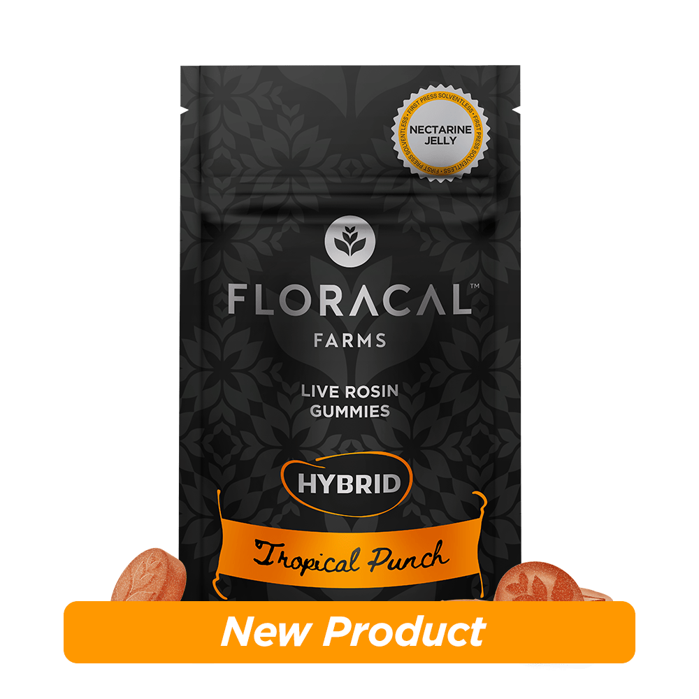 Tropical Punch | Hybrid Live Rosin Gummies 100mg [10pk]