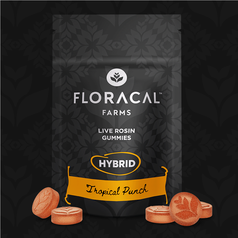Tropical Punch | Hybrid Live Rosin Gummies 200mg [20pk]