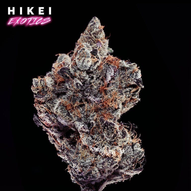 Hikei Exotics: Garlic Gum