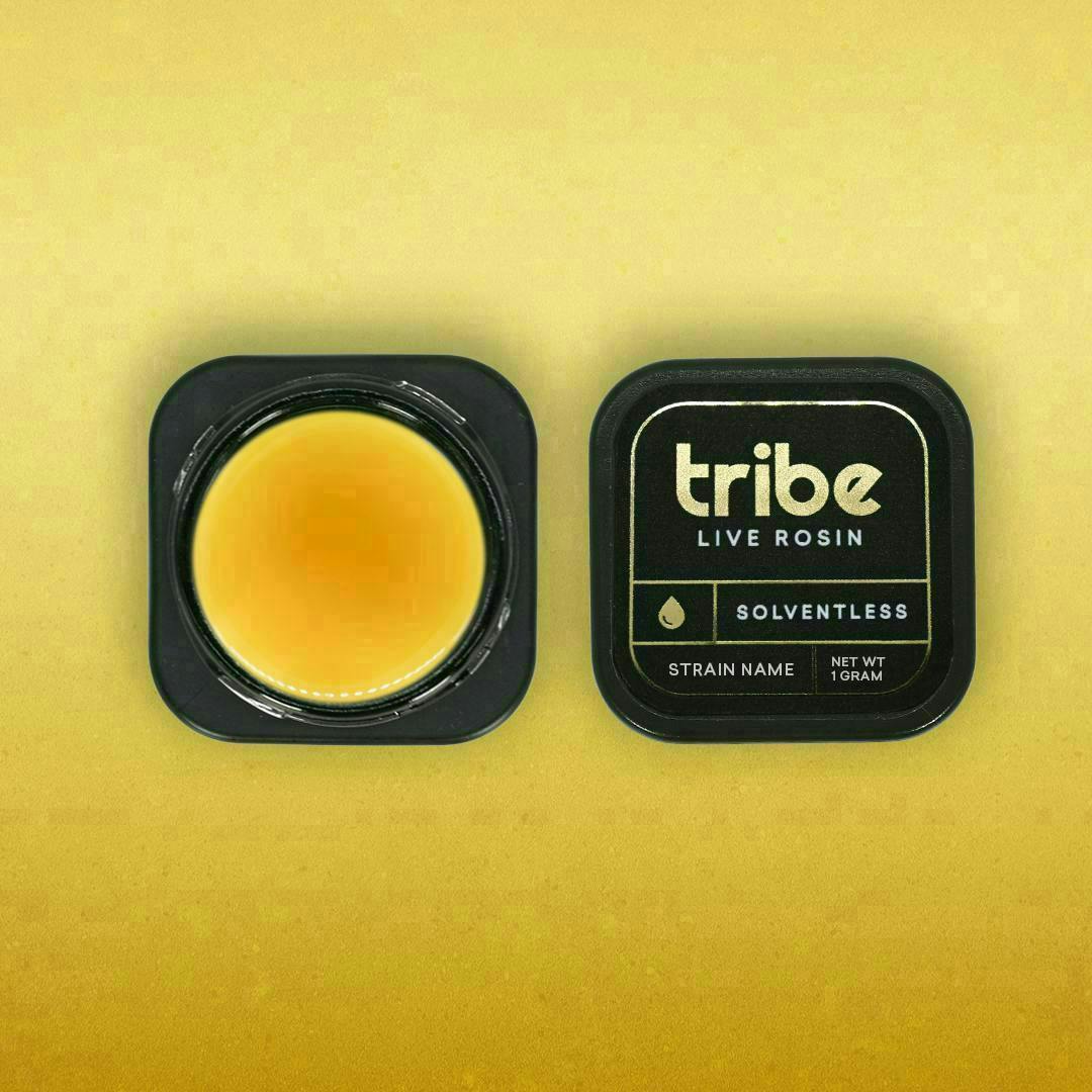 Tribe | The Bling | Live Hash Rosin | 1g