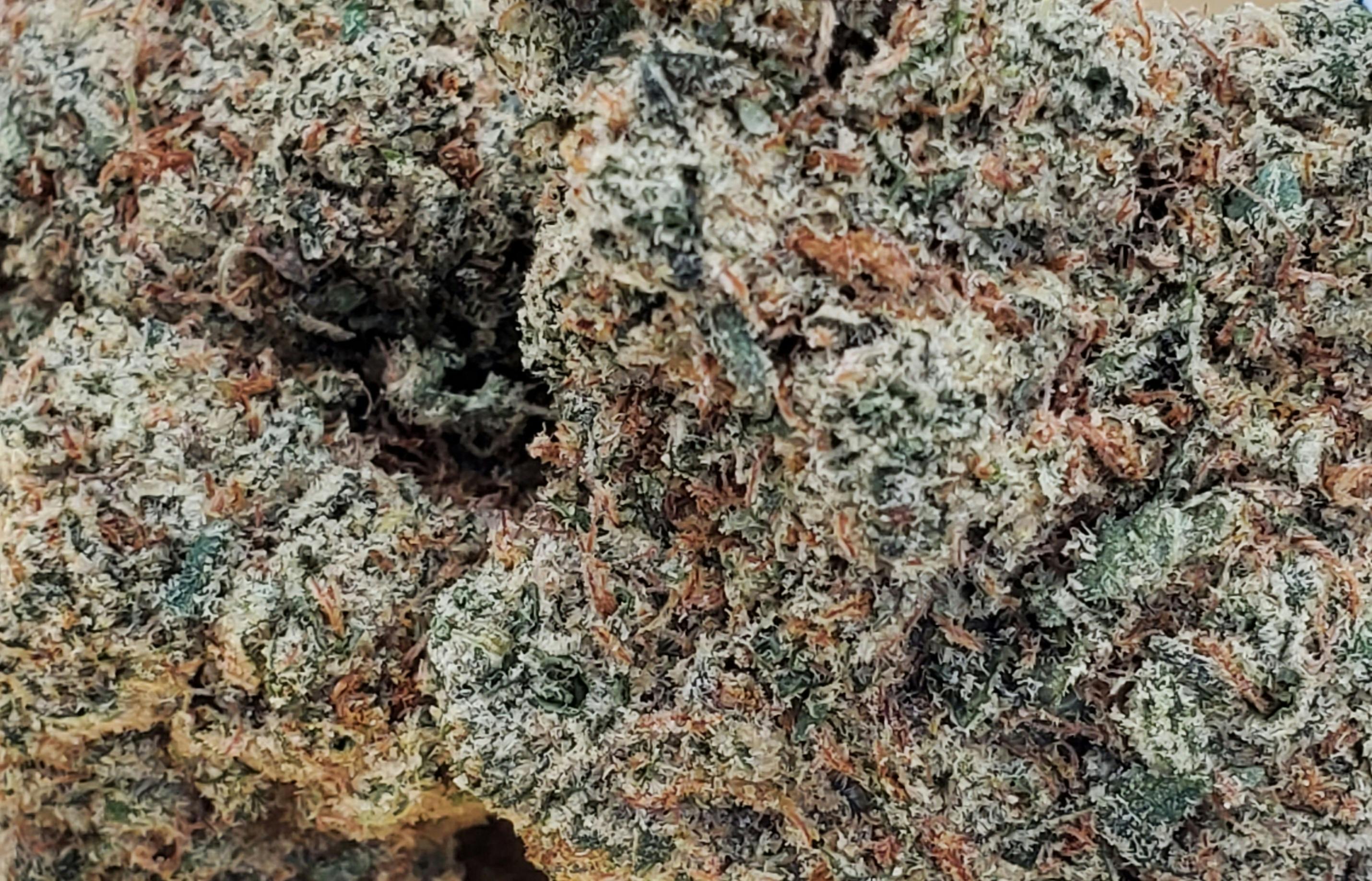 Super Jack - World Class Cannabis