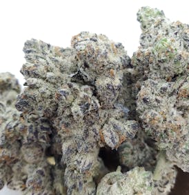 Purple Champagne