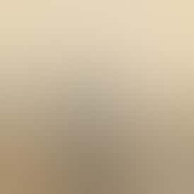 Don Mega Pre-Roll | 1g