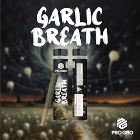 Garlic Breath Pre-Roll | 1g