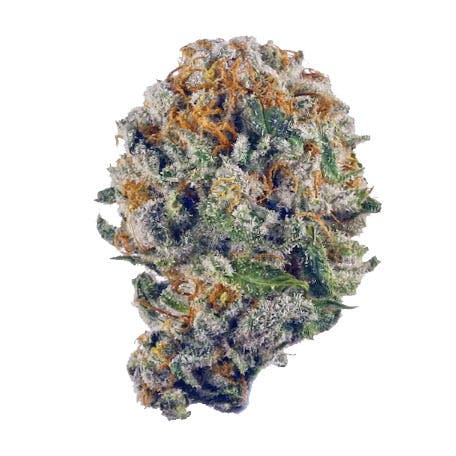 Evidence — Strawberry Shortcake