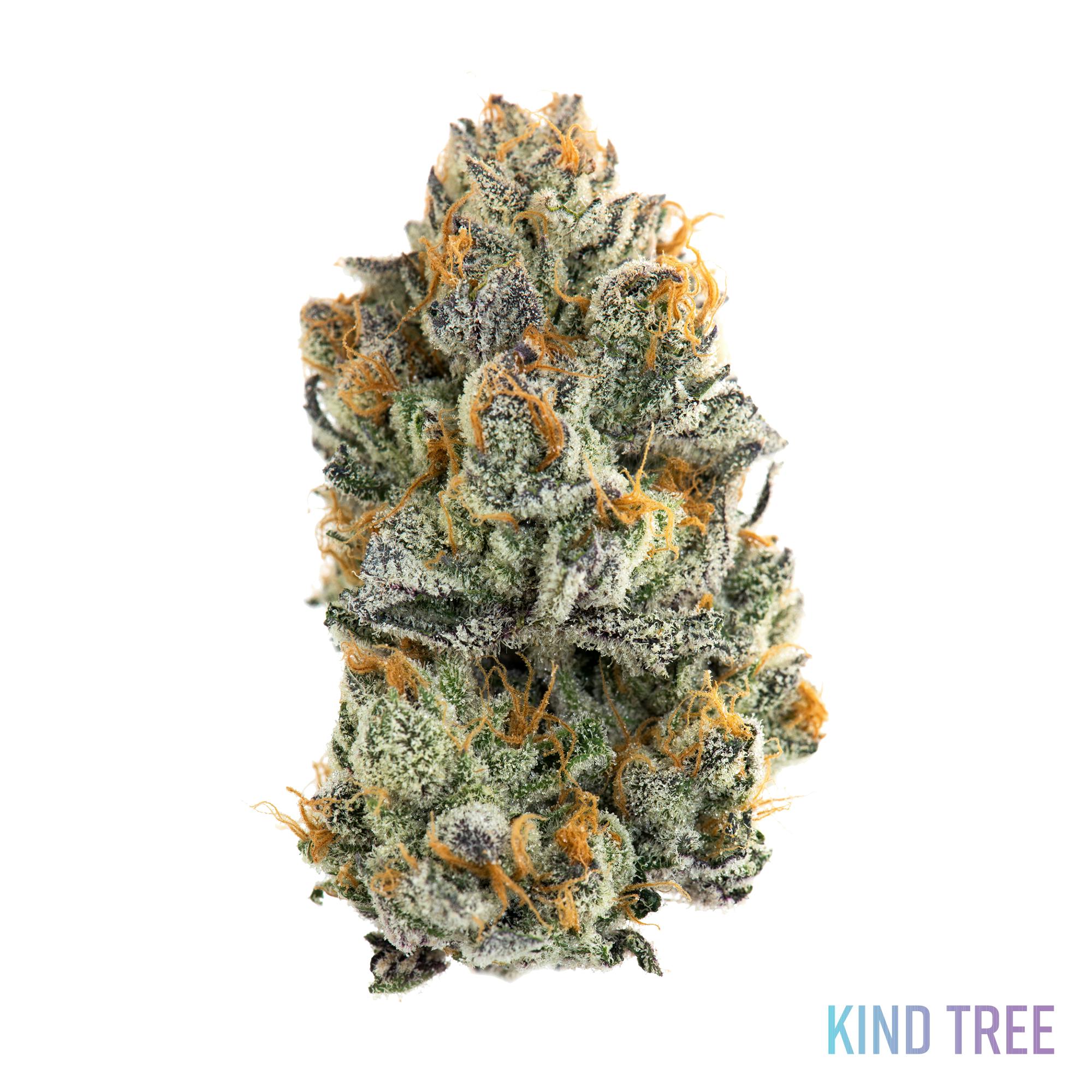 Frosted Melon Gelato Kind Tree