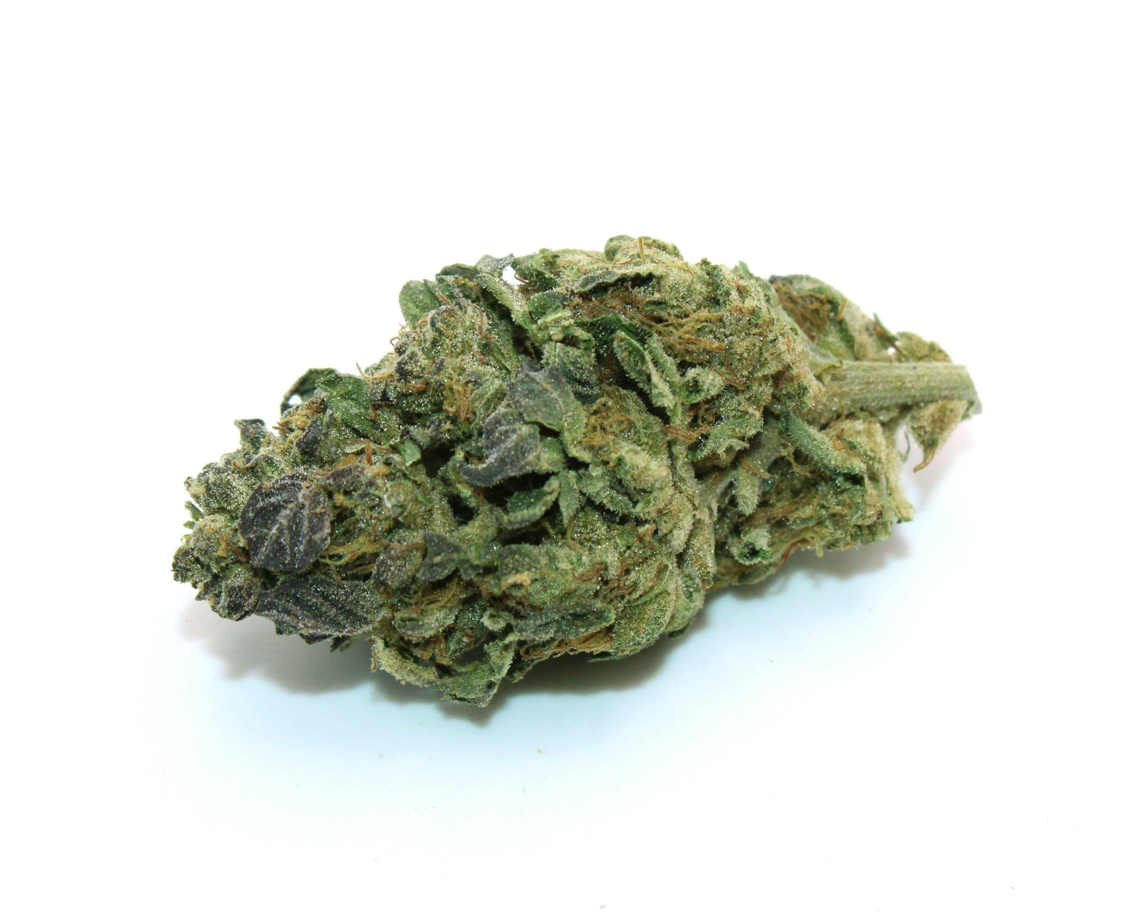 Girl Scout Cookies 1 Gram(27THC,INDICA) Trusty Transportations