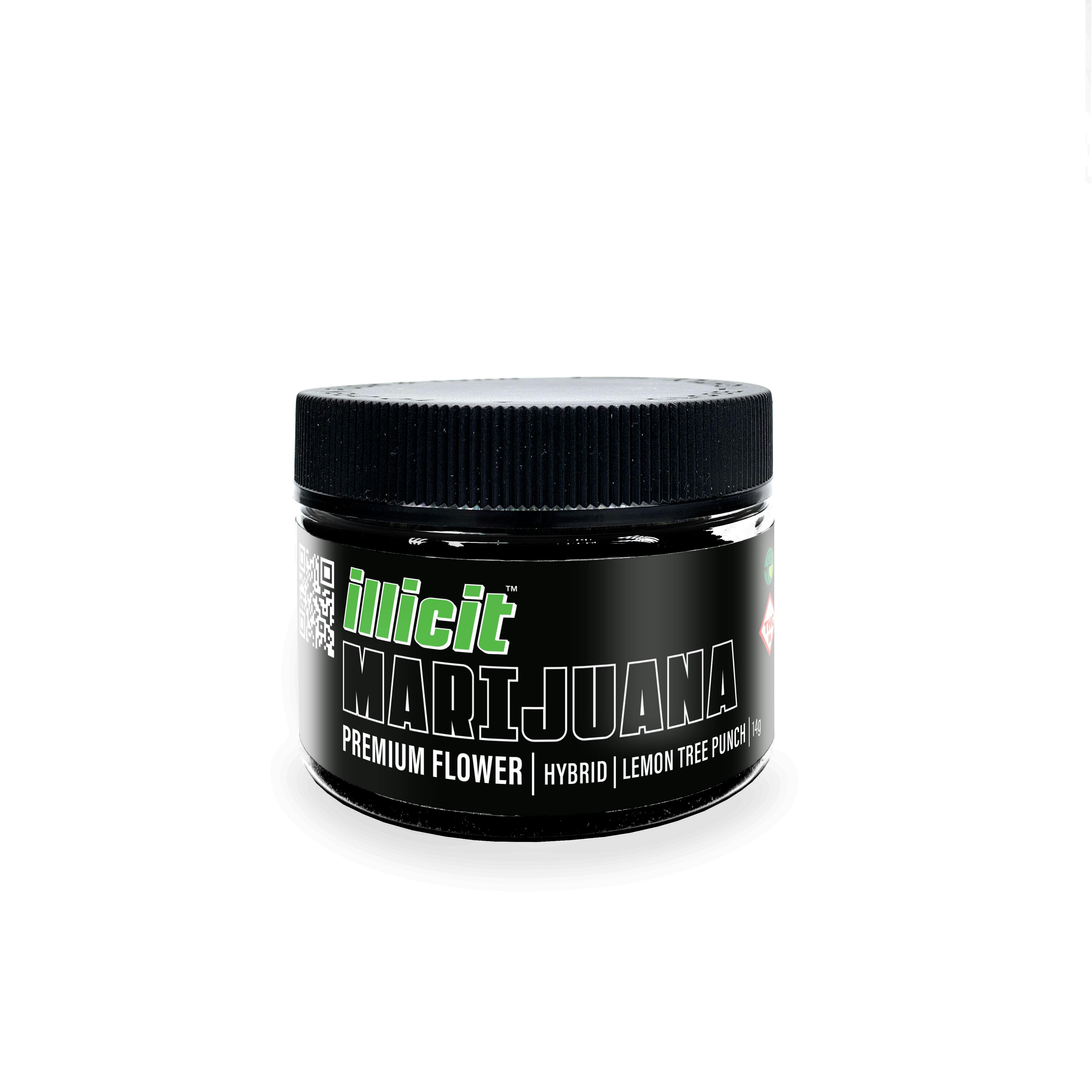 Lemon Tree Punch 14g Flower by ILLICIT