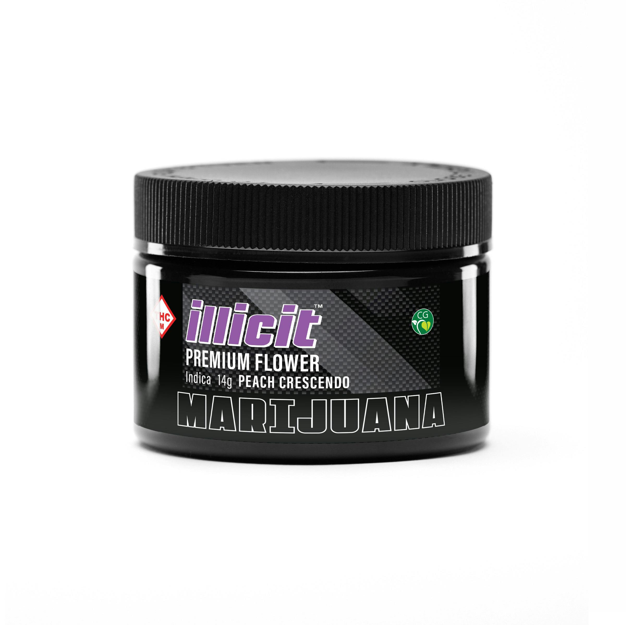 Peach Crescendo 14G Flower