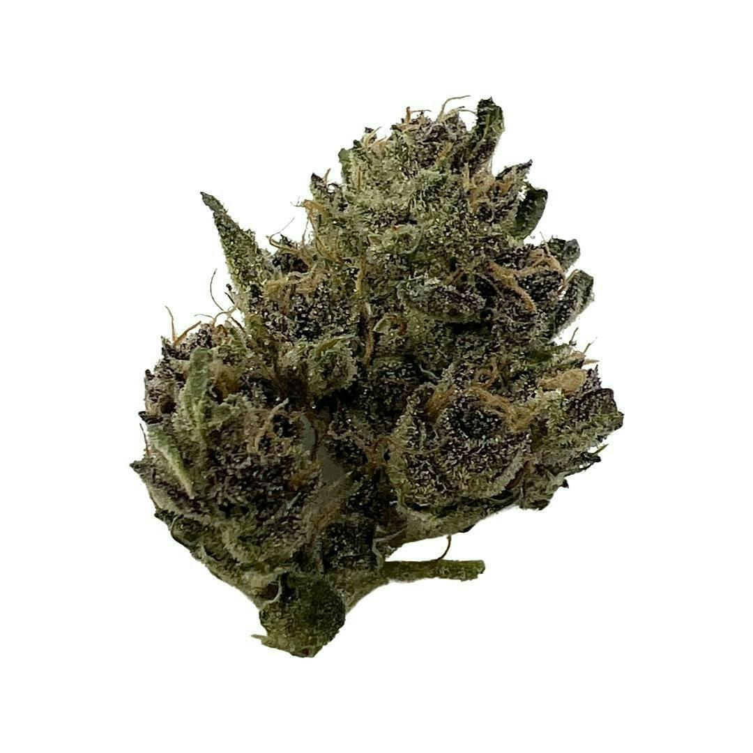 Mnt Tropicana Art Craft