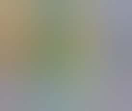 10,000MG Scrappy's Mega Worms