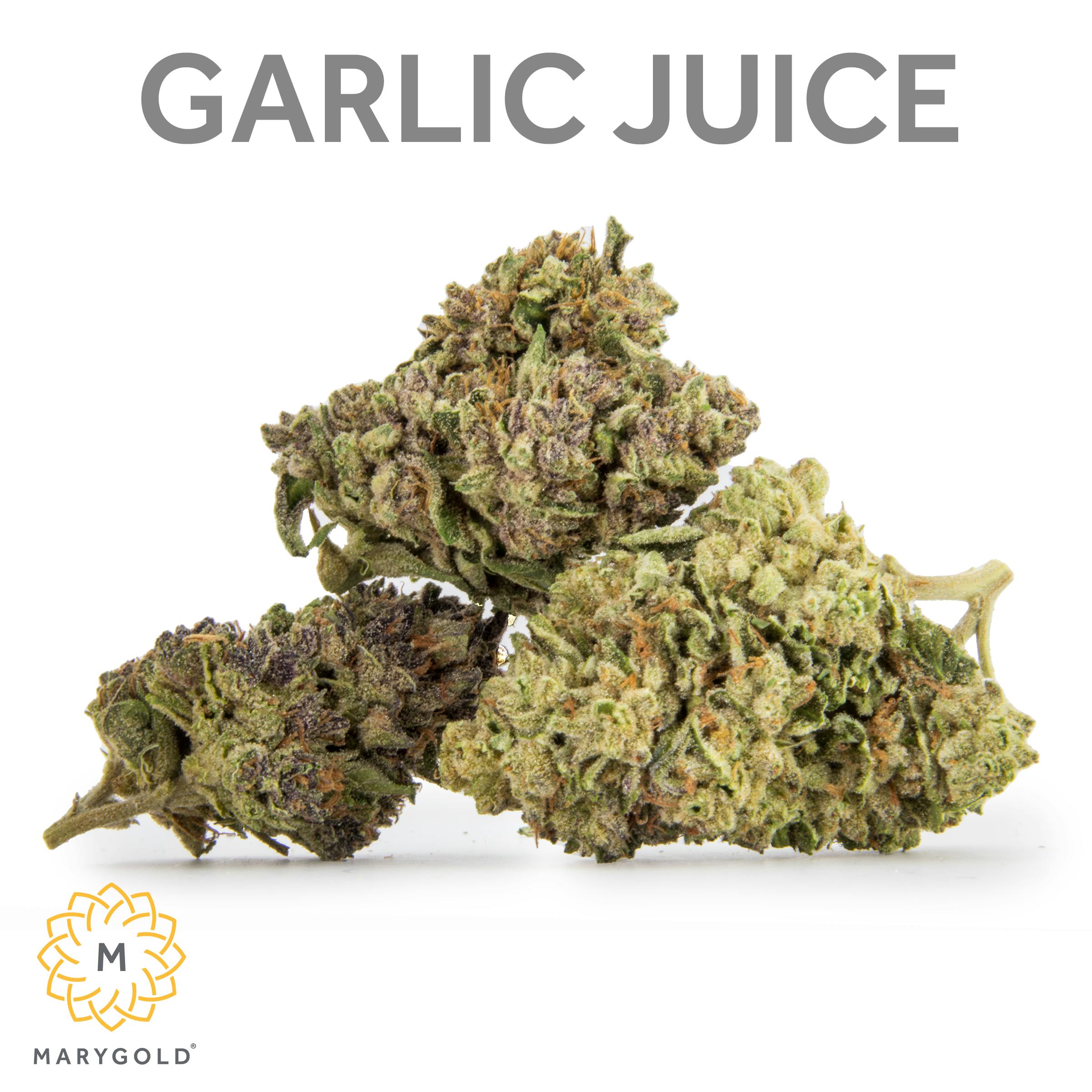 Marygold Garlic Juice 14g (31 THC Indica) Weedmaps