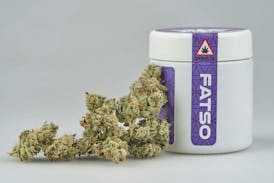 Flower - Tier 2 - Fatso