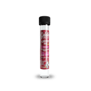 Gelato | Chery Pie | Lolli's | Infused Pre-Roll | 1.2G