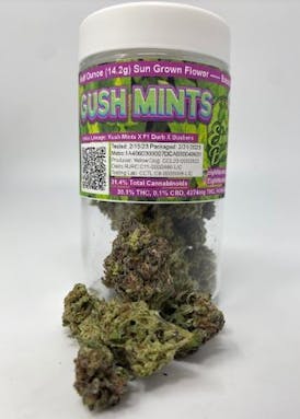 Gush Mints Jar (14g - ½ oz)