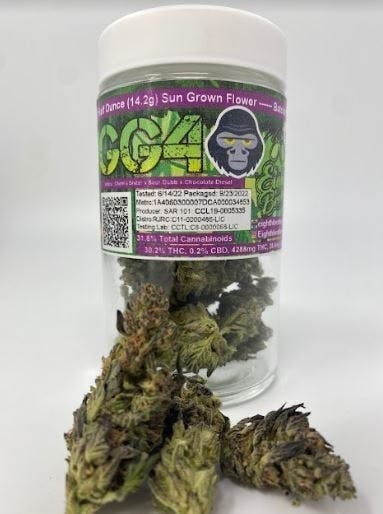 Eighth Brother — GG4