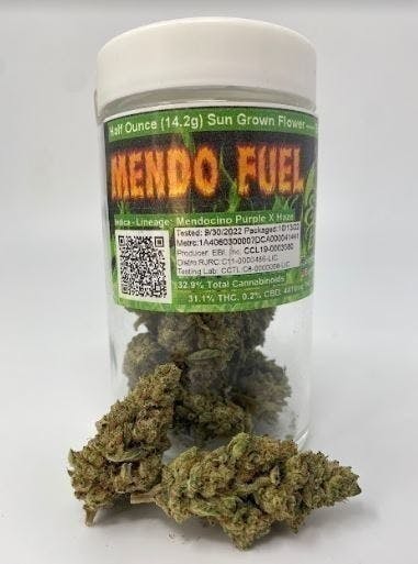 Eighth Brother: Mendo Fuel