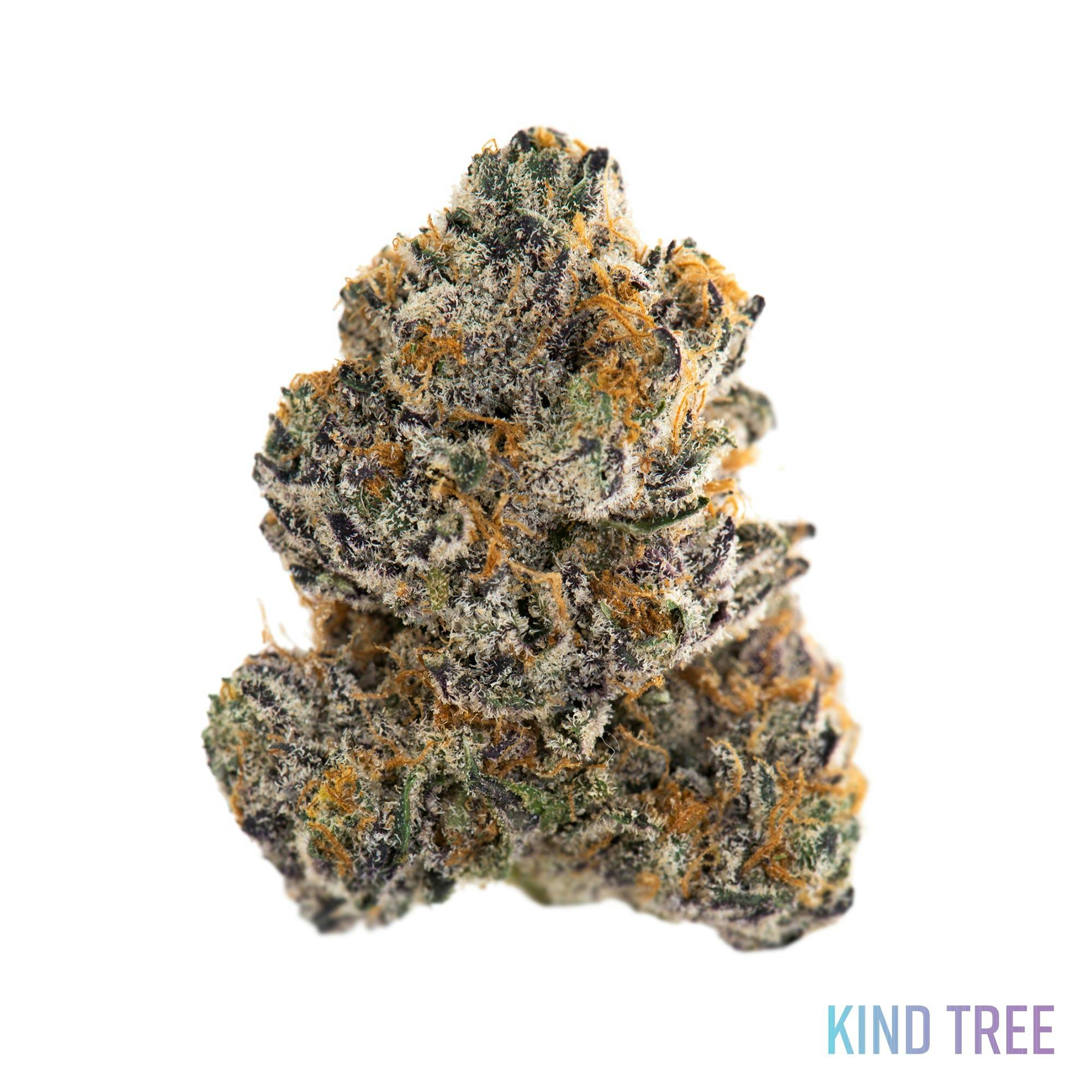 Cream & Sugar Kind Tree