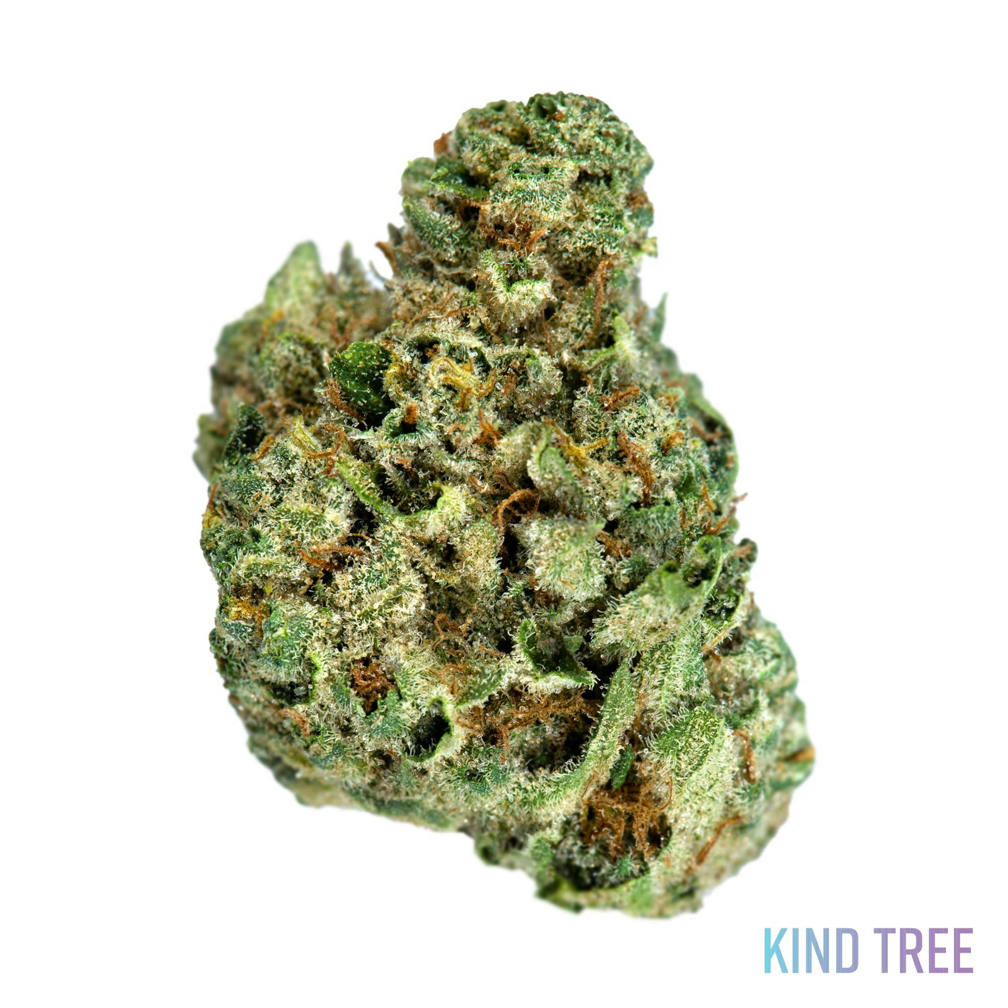 Kind Tree GSC Weedmaps