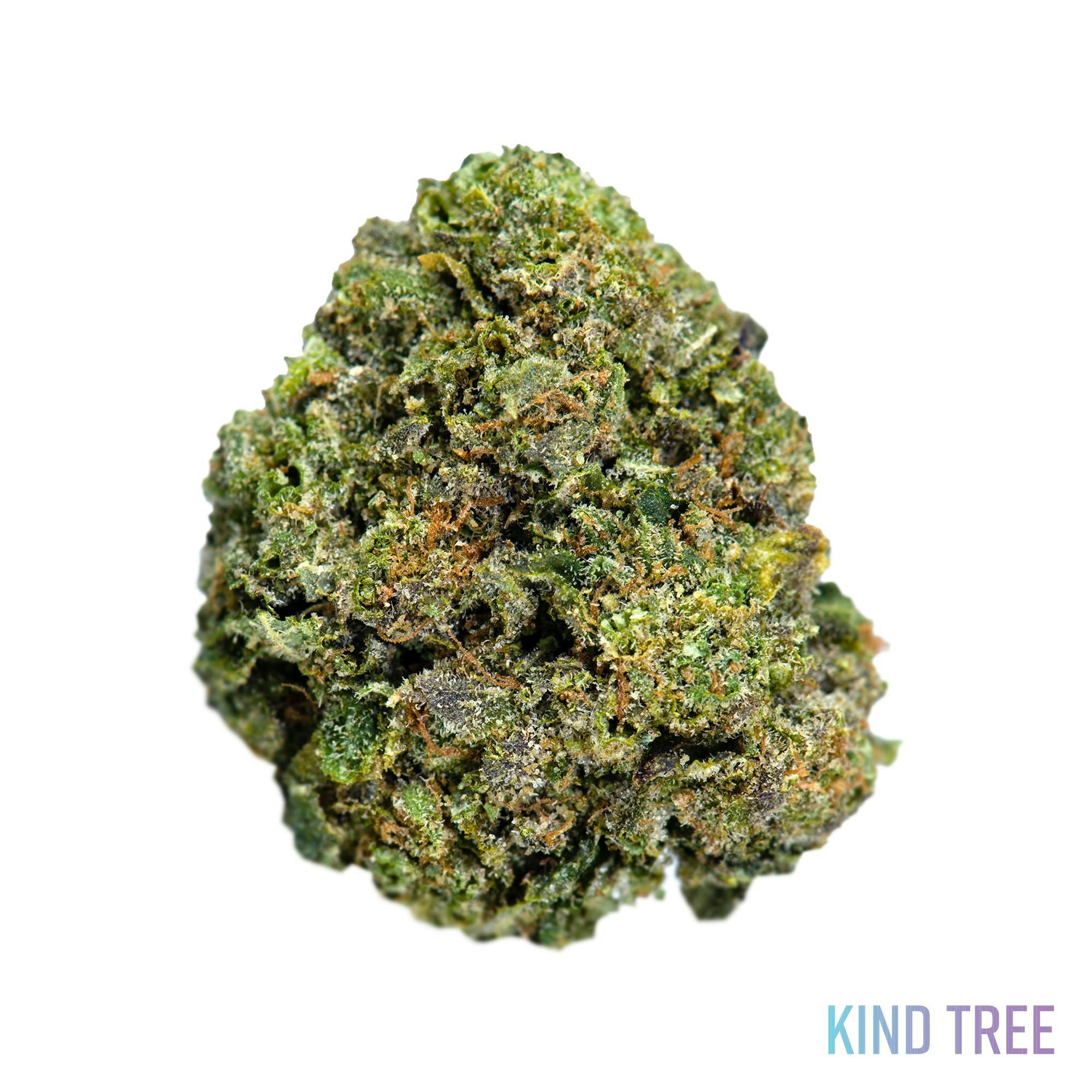 Kind Tree Legend OG Weedmaps